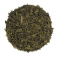 Thé Vert Sencha BIO